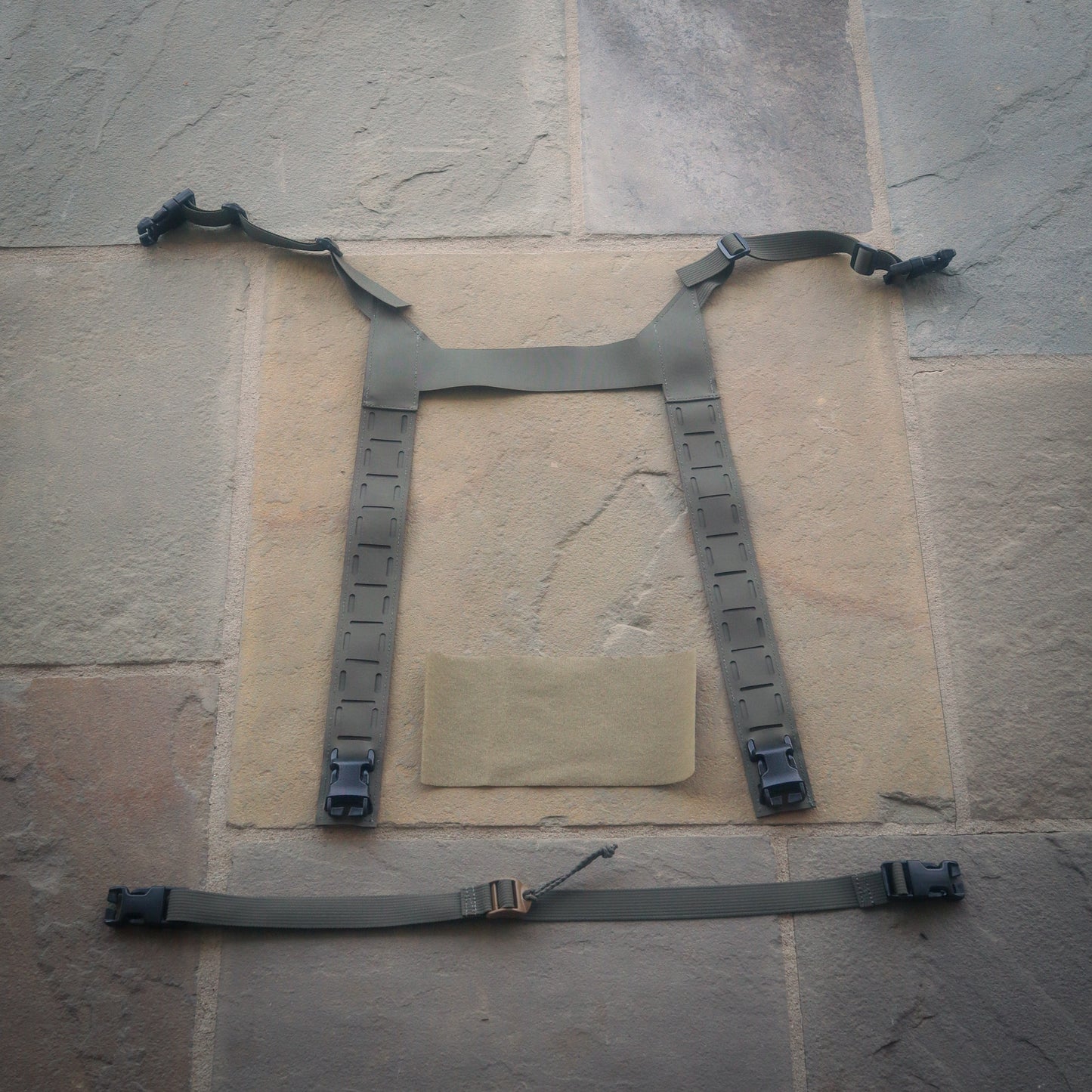 Chest Rig Harness & backstrap V2
